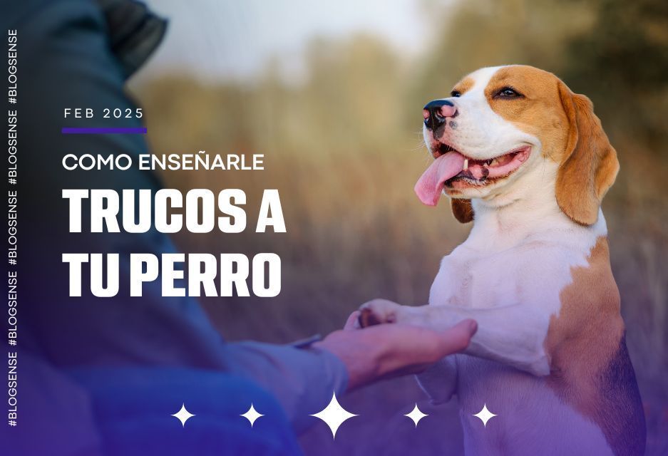 Como enseñarle trucos a tu perro